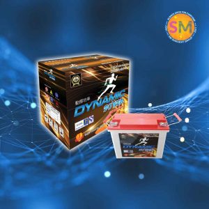 Dynamic Power EV Battery